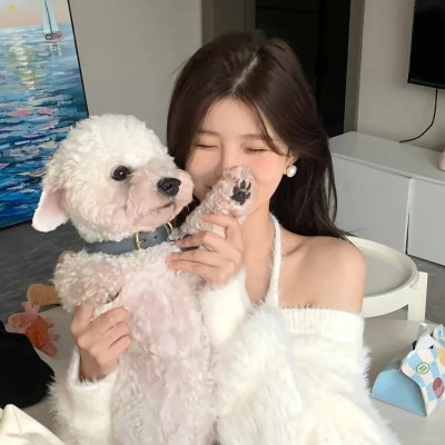 超级吉普赛流氓