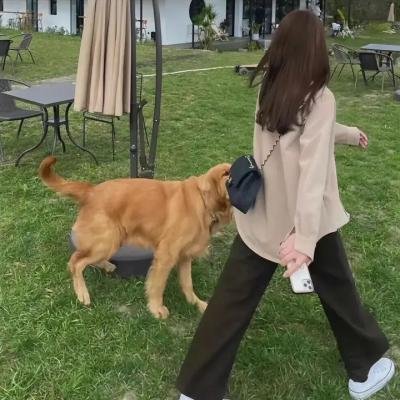 无腿先生