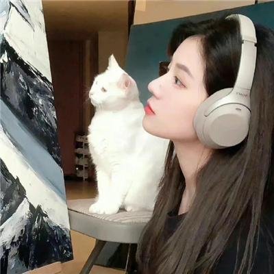 五香宫的猫